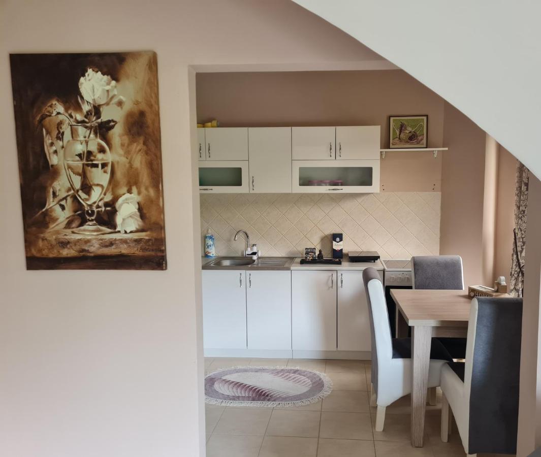 Apartmán Apartman Alex Lux Vrnjačka Banja Exteriér fotografie